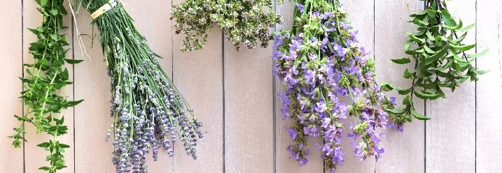 Getrocknete Kräuterbündel